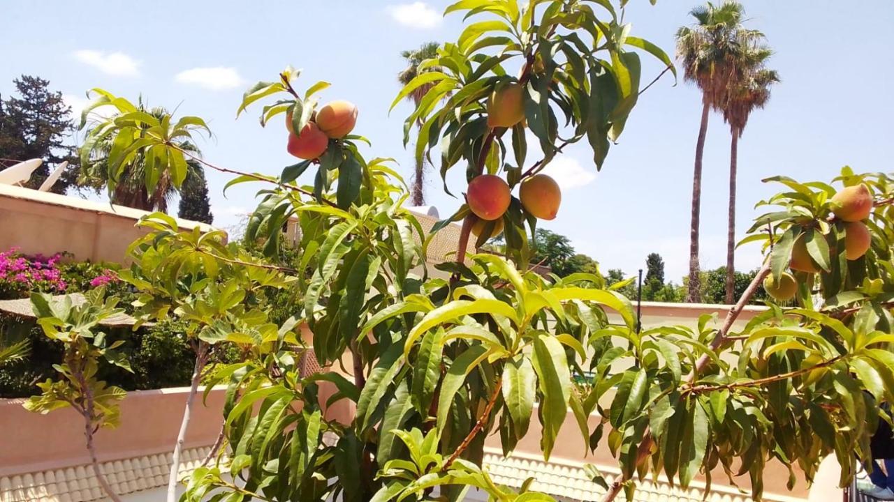 Zouhour 3* Marraquexe