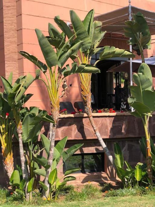 Jolyamelkis - Golf Marrakech