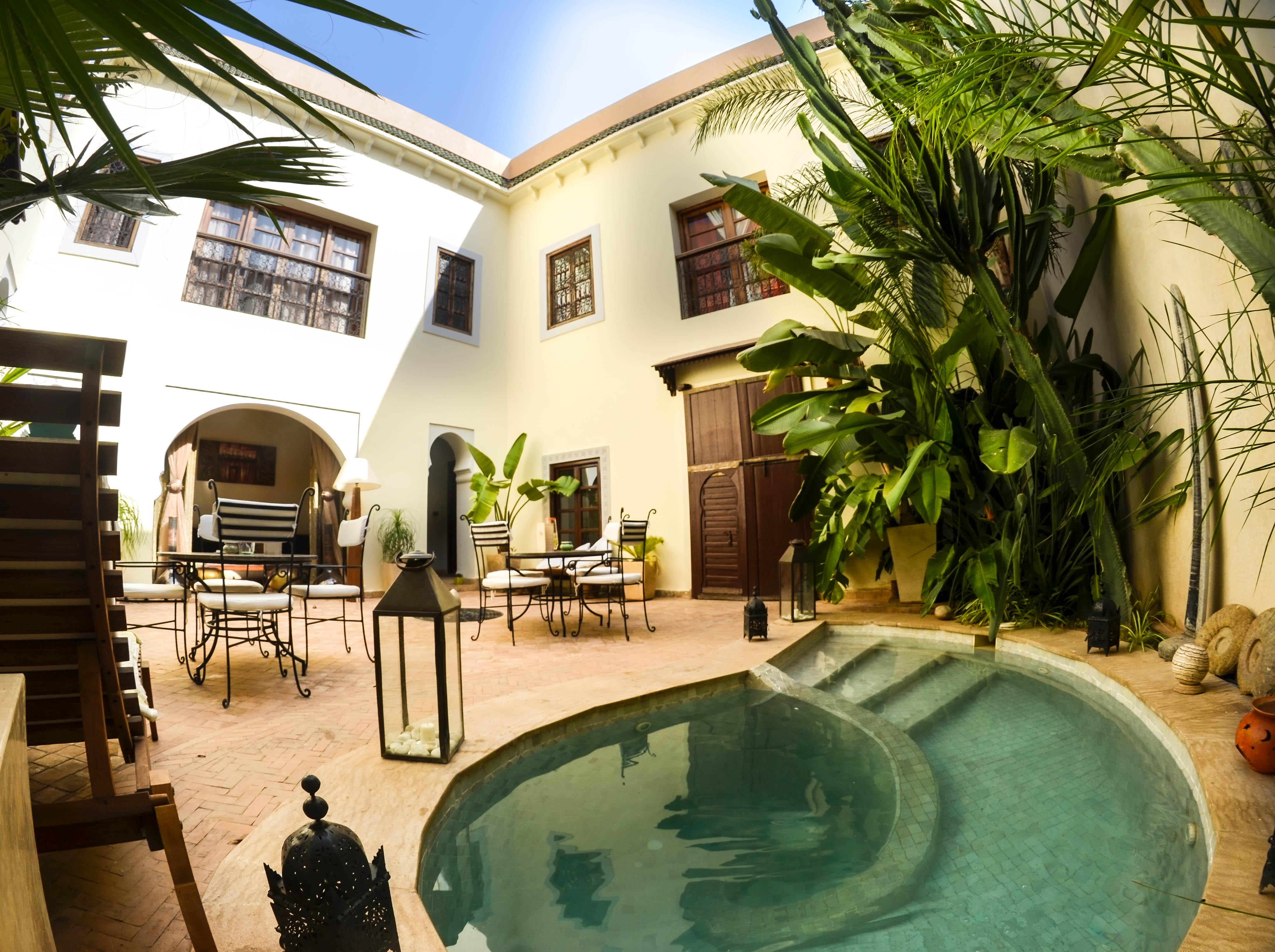 Les Ammonites And Riad