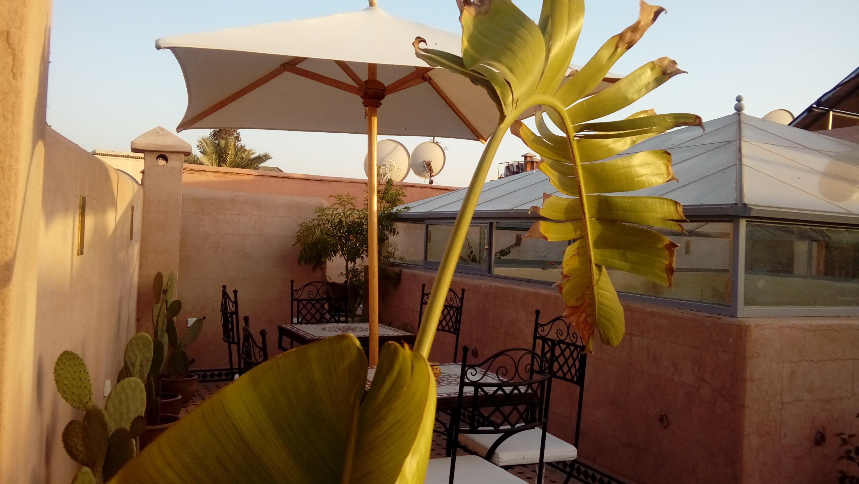 Riad Miral 3*