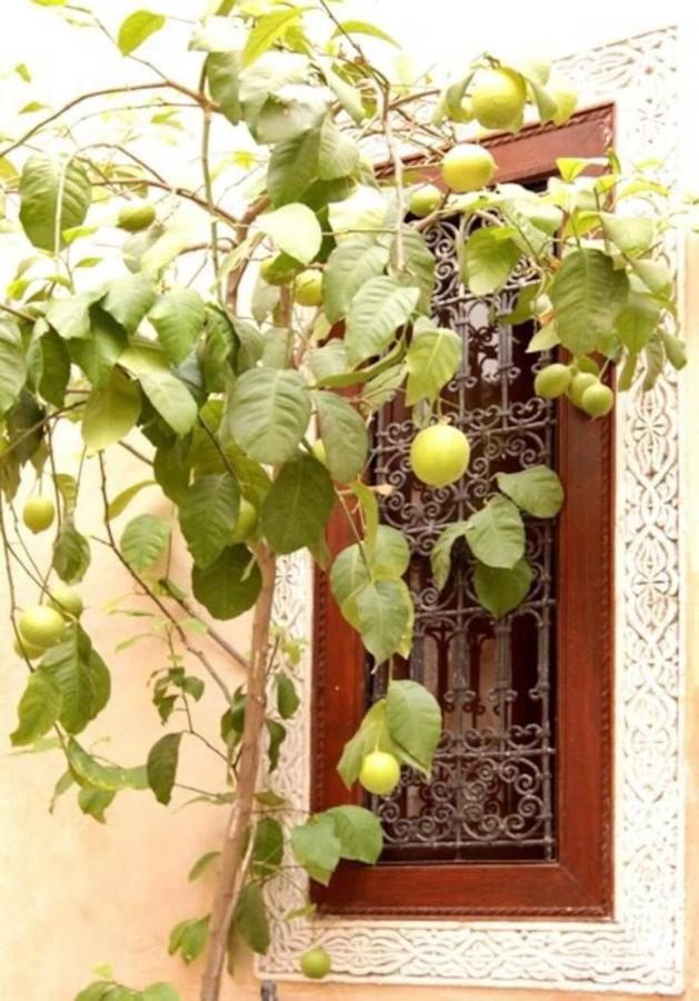 Dar Rania Marrakech Medina Jemaa El Fna Riad *