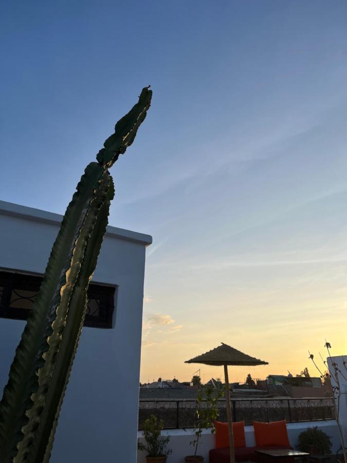 Darino 3* Marrakesh