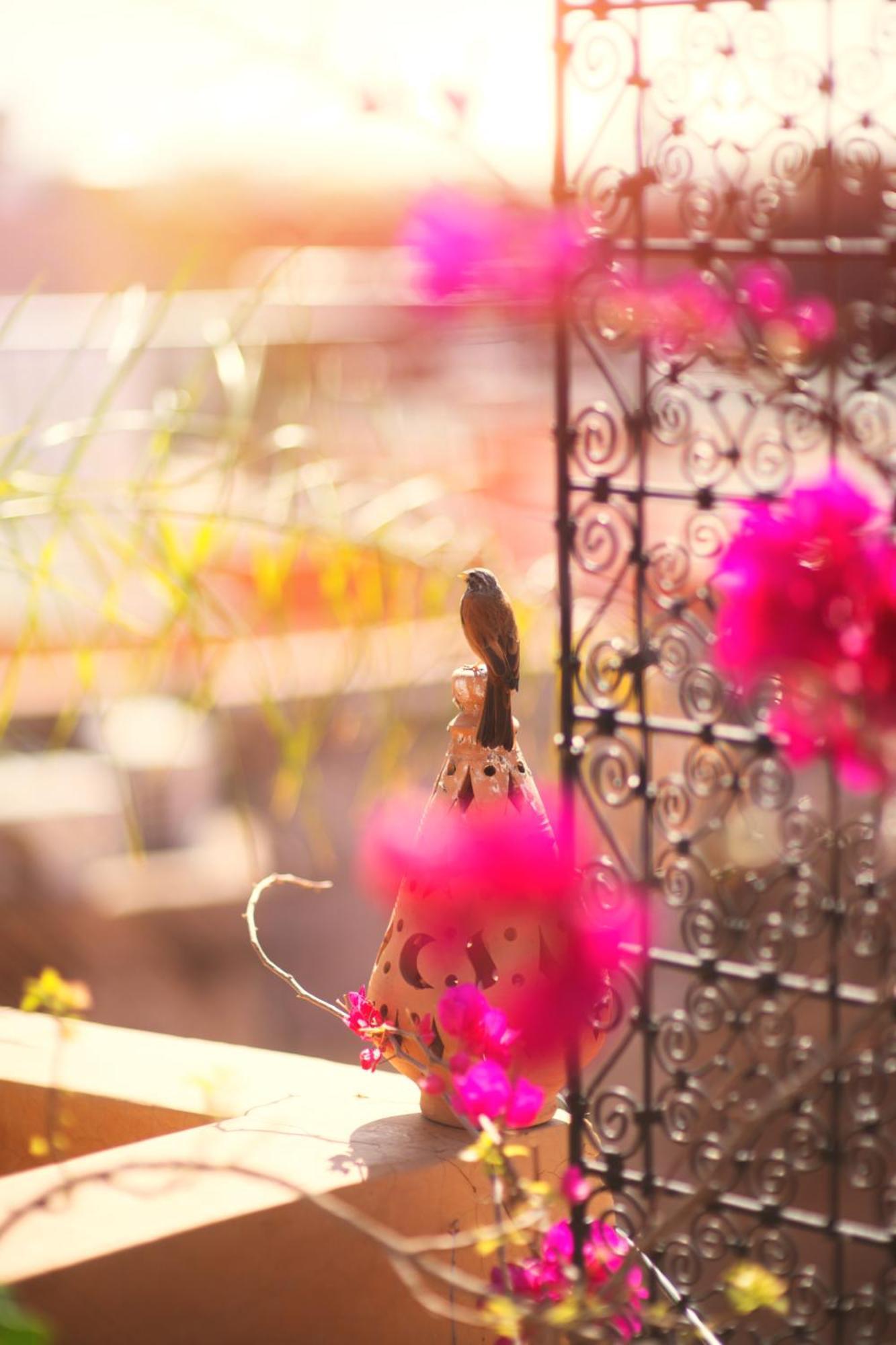 Riad Persephone 3*