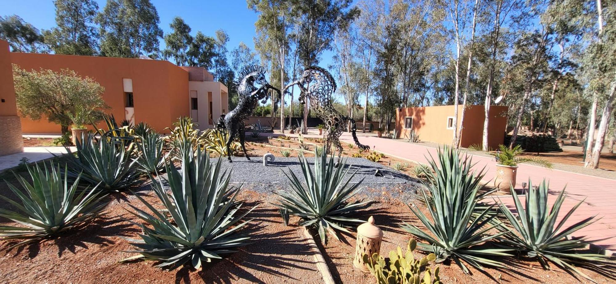 Le Jardin De Jeanne
