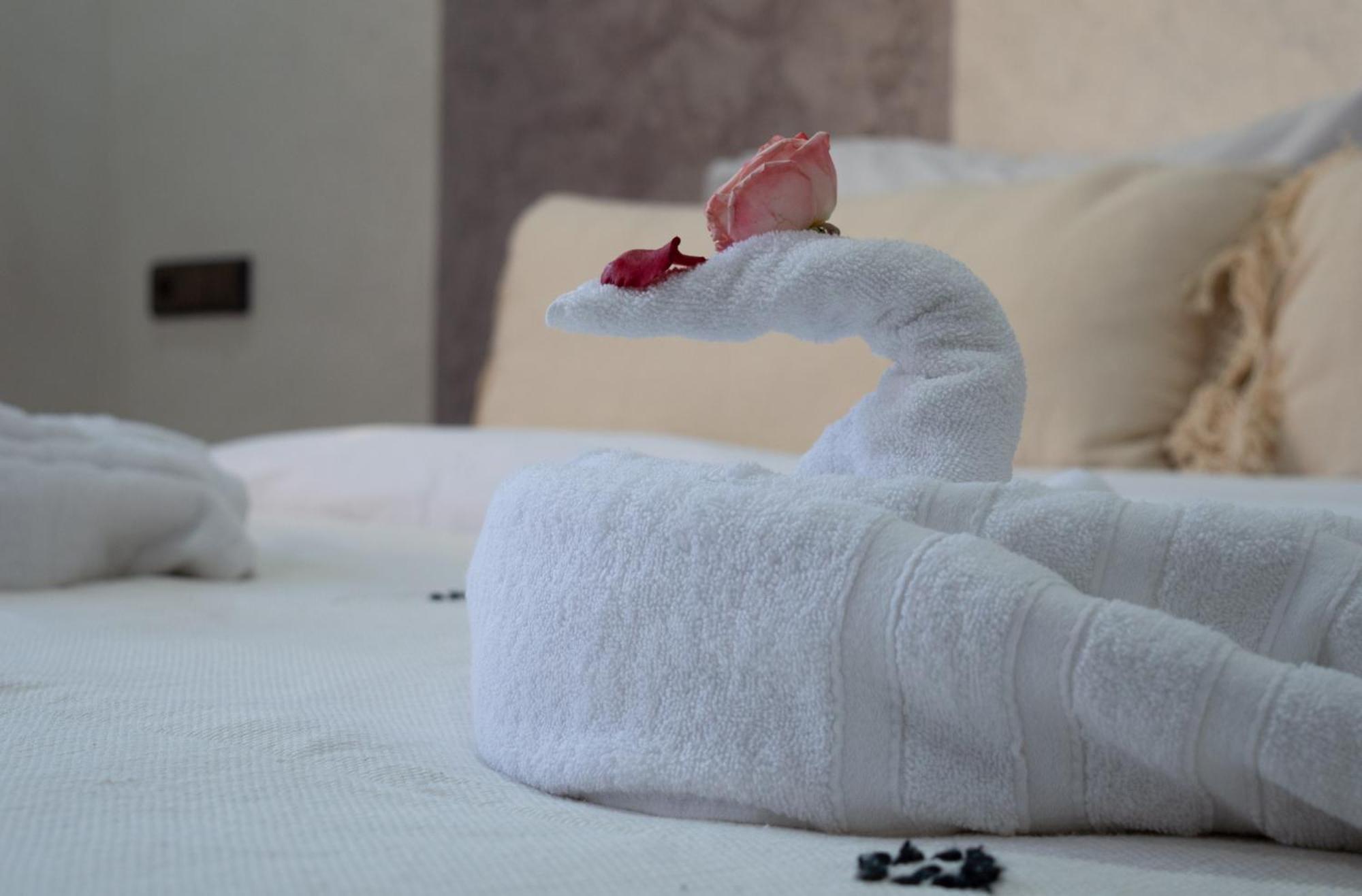 Ferme D'hote Zomorroda Farm stay *