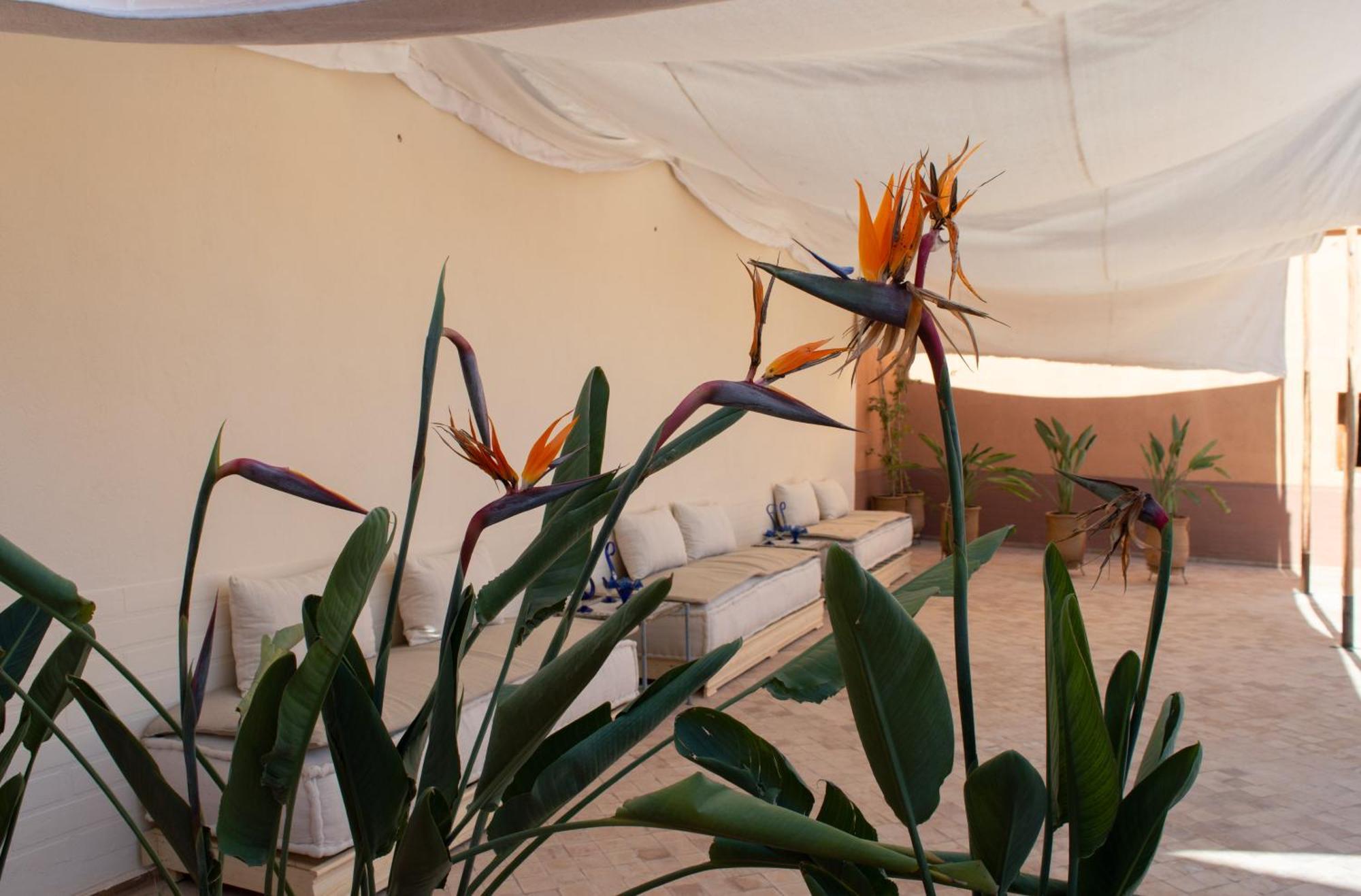 Ferme D'hote Zomorroda * Marrakesh