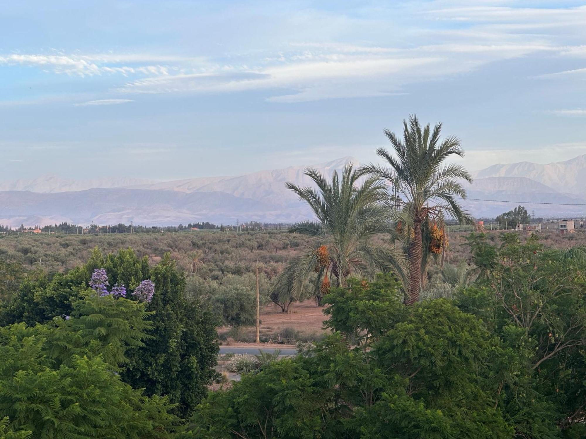 Palm View Appartement
