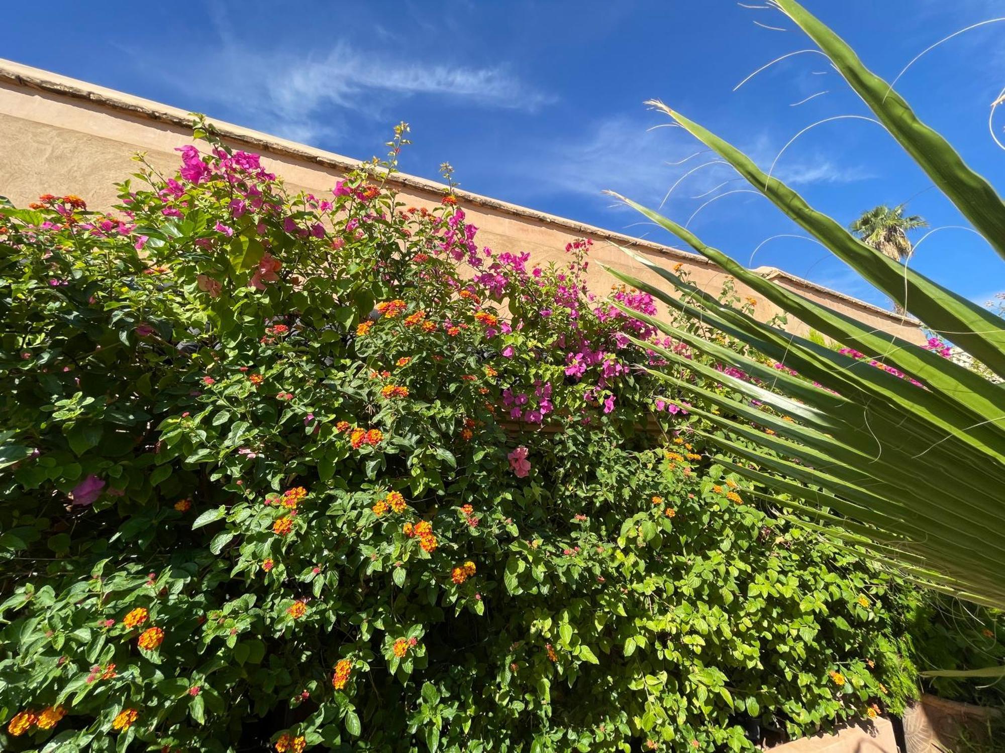 Zouhour Casa de hóspedes