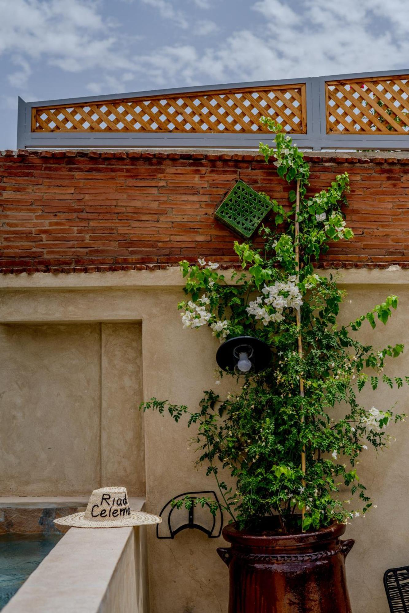 Celema & Riad Marraquexe