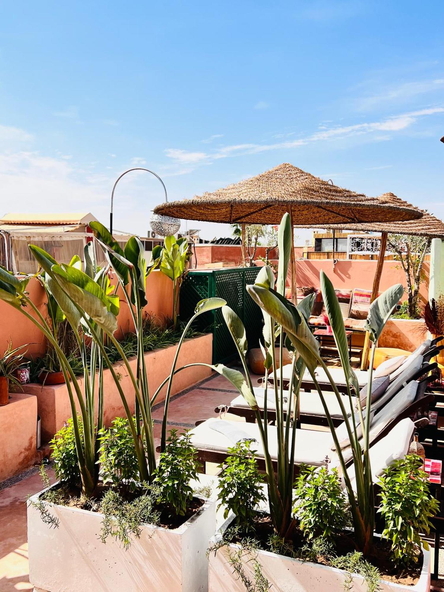 11 Zitoune Marrakesh