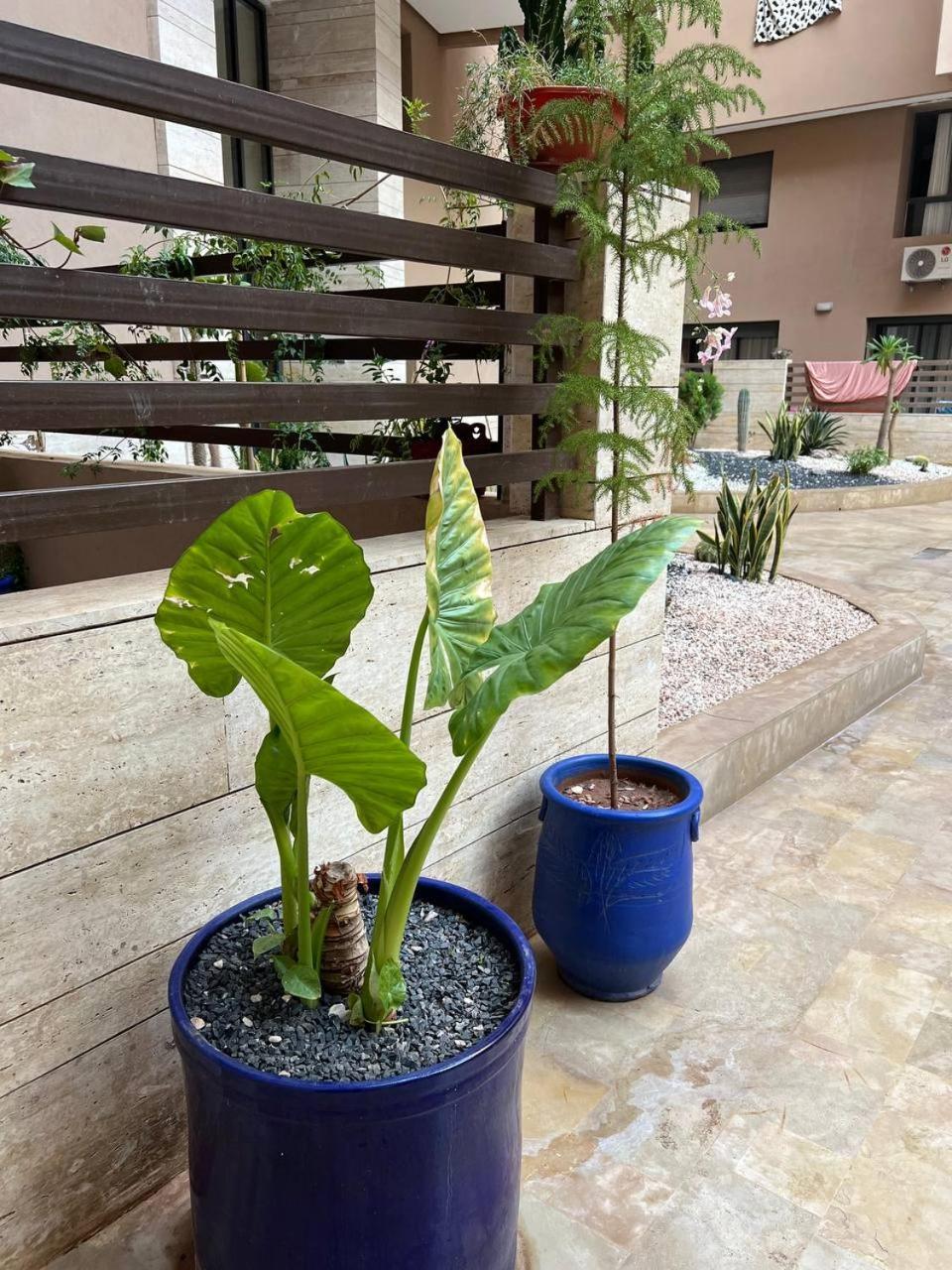 3bd Centre Located Marrakech
