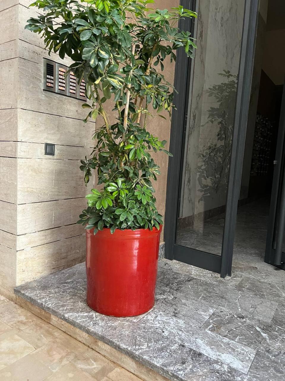 3bd Centre Located Marrakech * Marrakesh