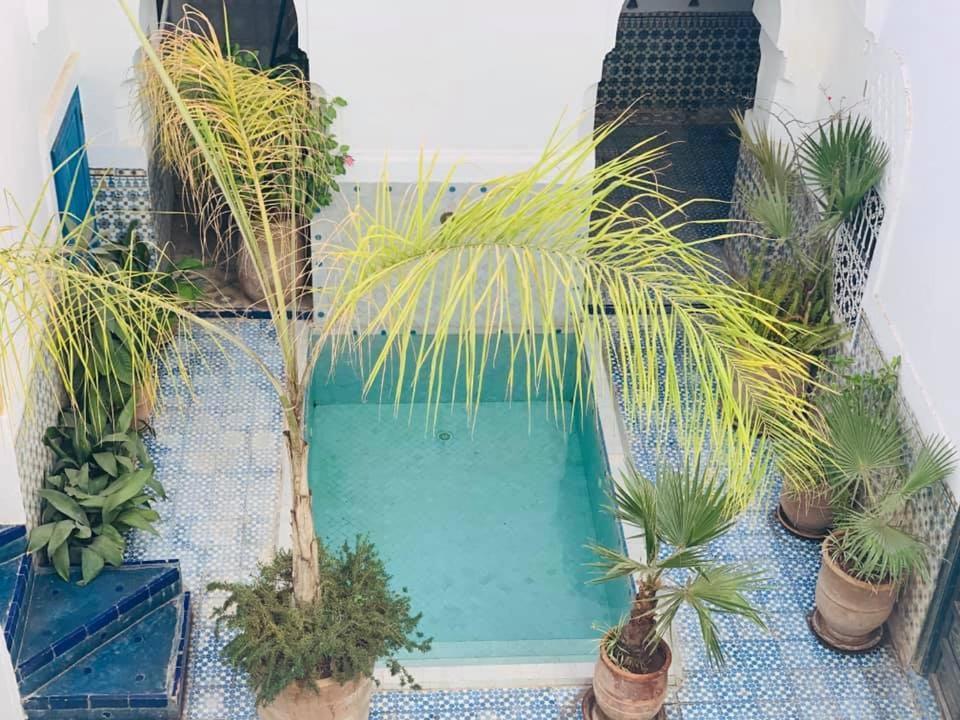 Ifoulki 3* Marrakesh