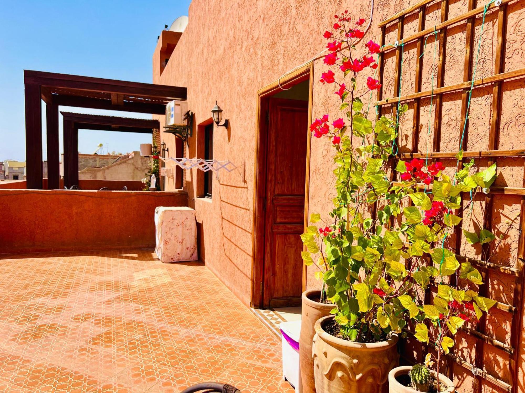 Cycas Family Aparts -only Family * Marrakesh