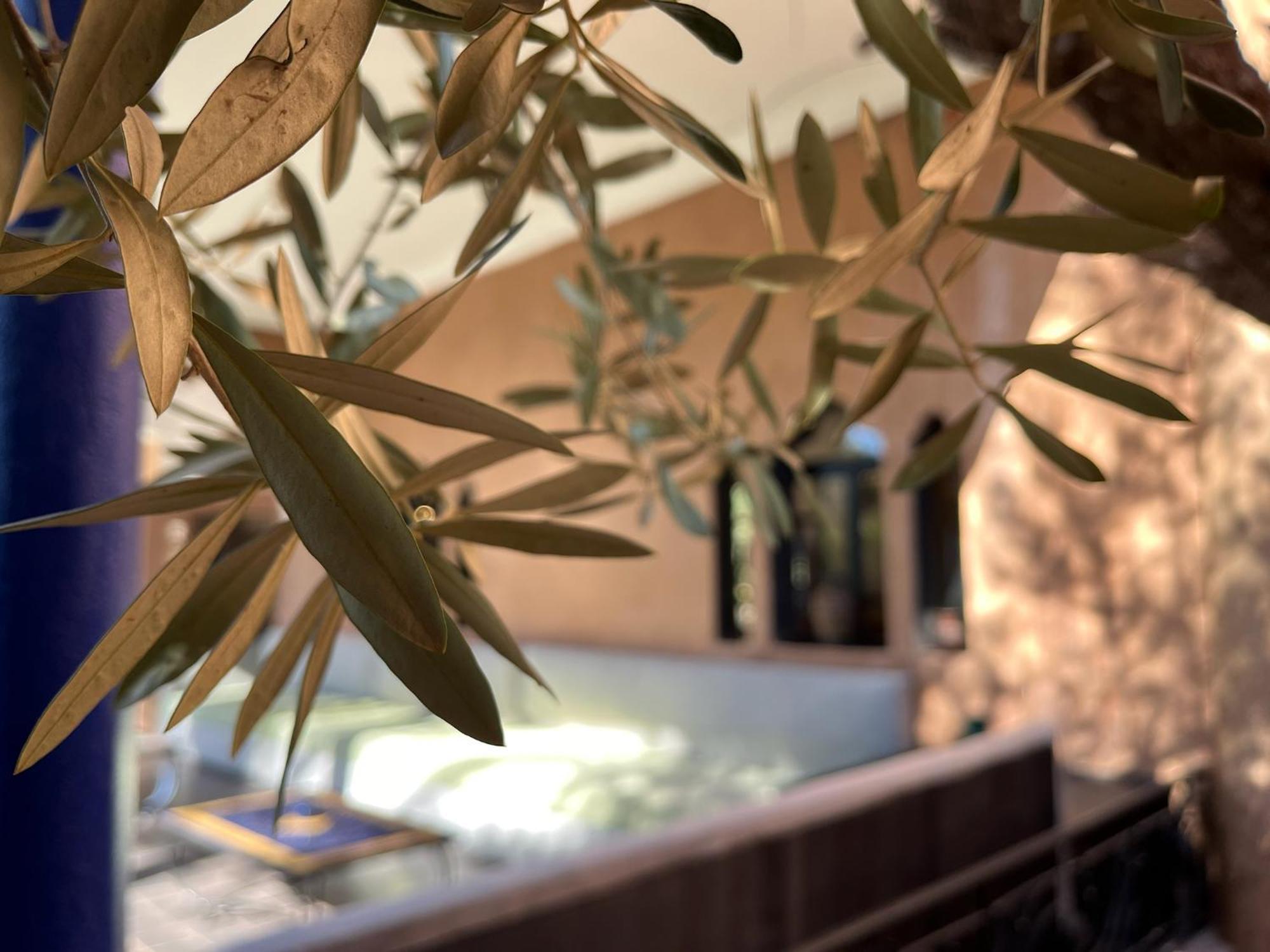 L'oliveraie Jnane Zitoune 4* Marrakesh
