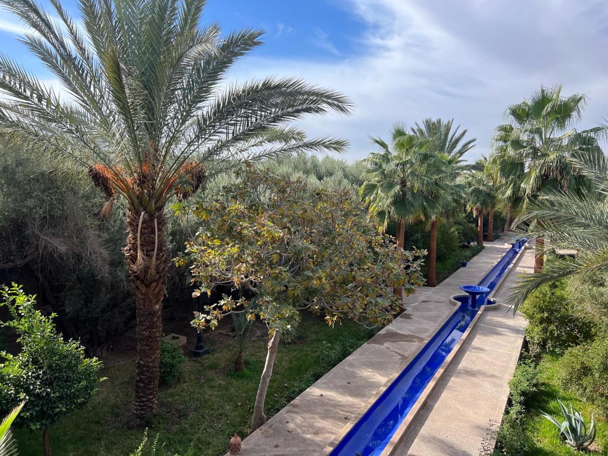 Hotel L'oliveraie Jnane Zitoune 4*