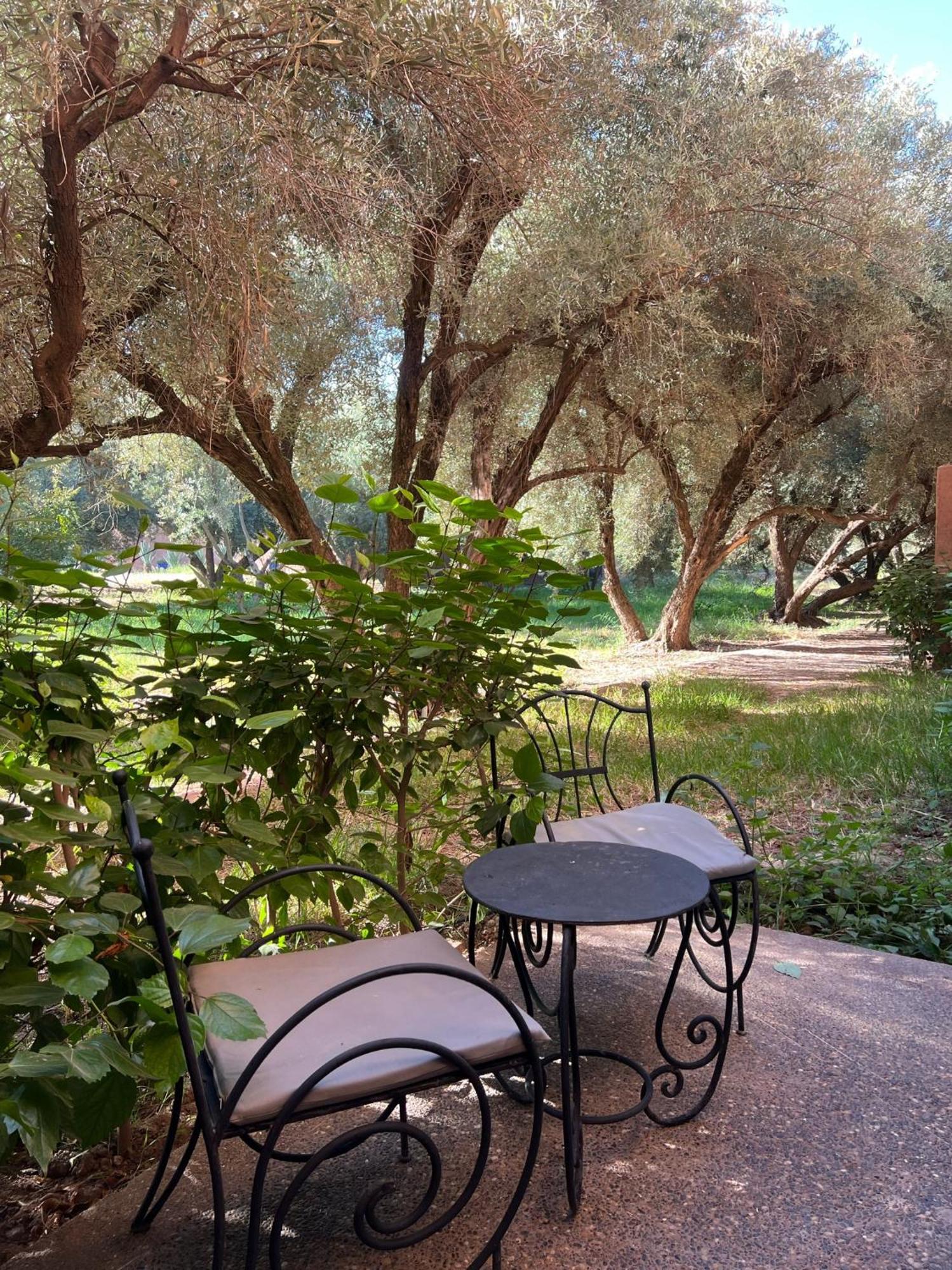 Hotel L'oliveraie Jnane Zitoune