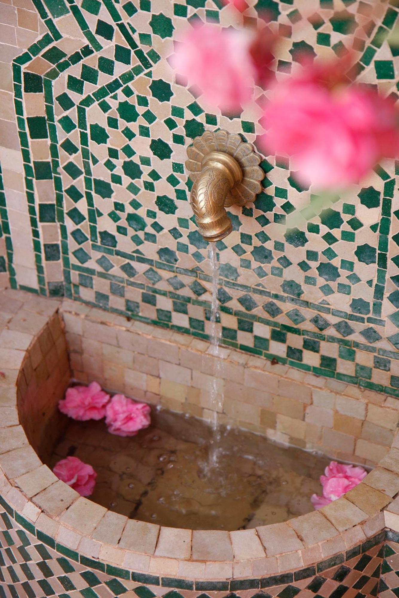 Riad Chameau Fdc