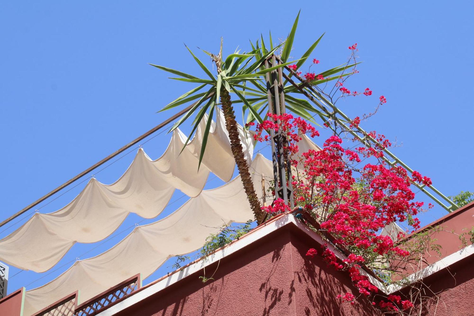 Guest house Celia 2*