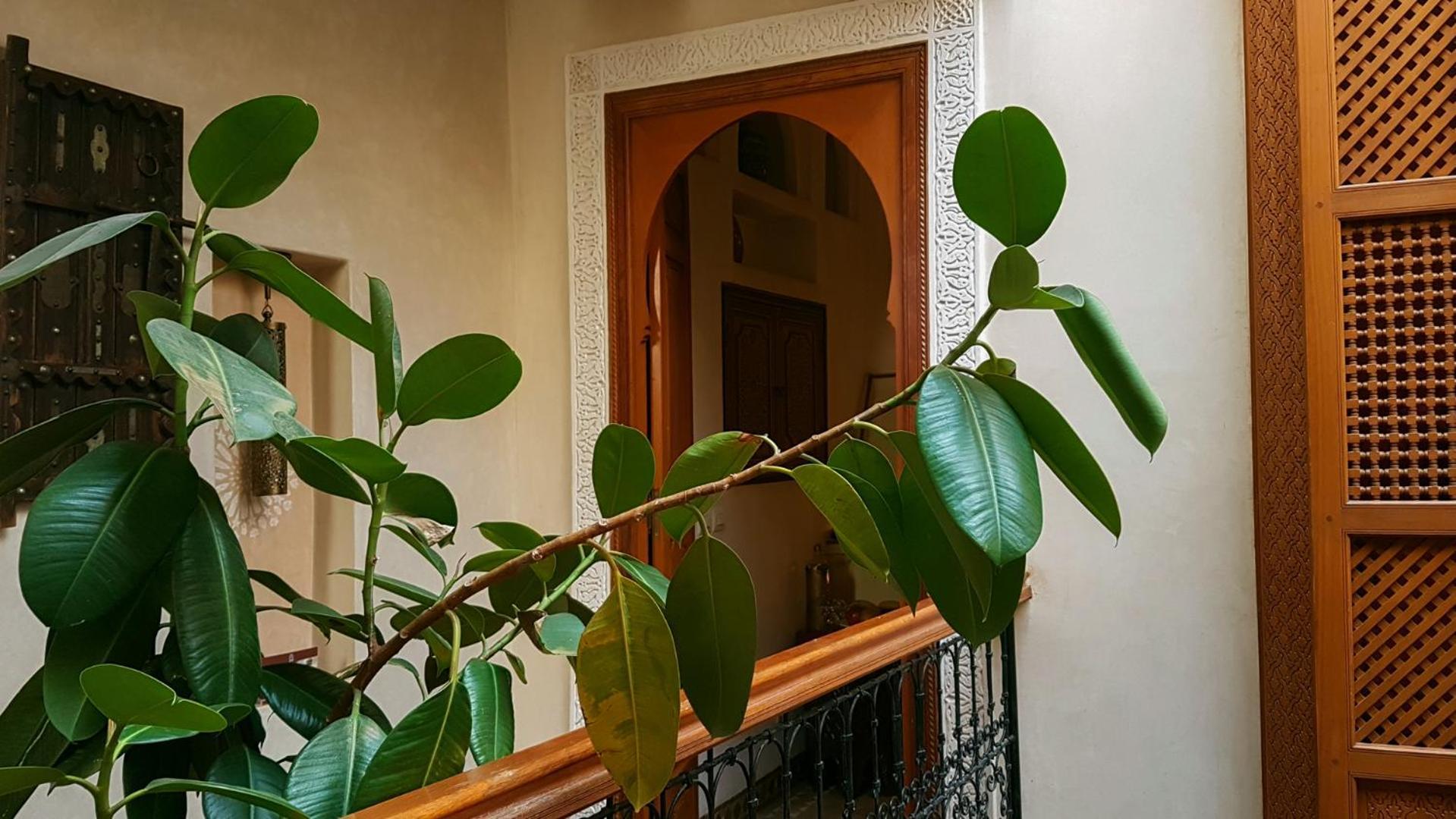 Riad Gallery 49 &