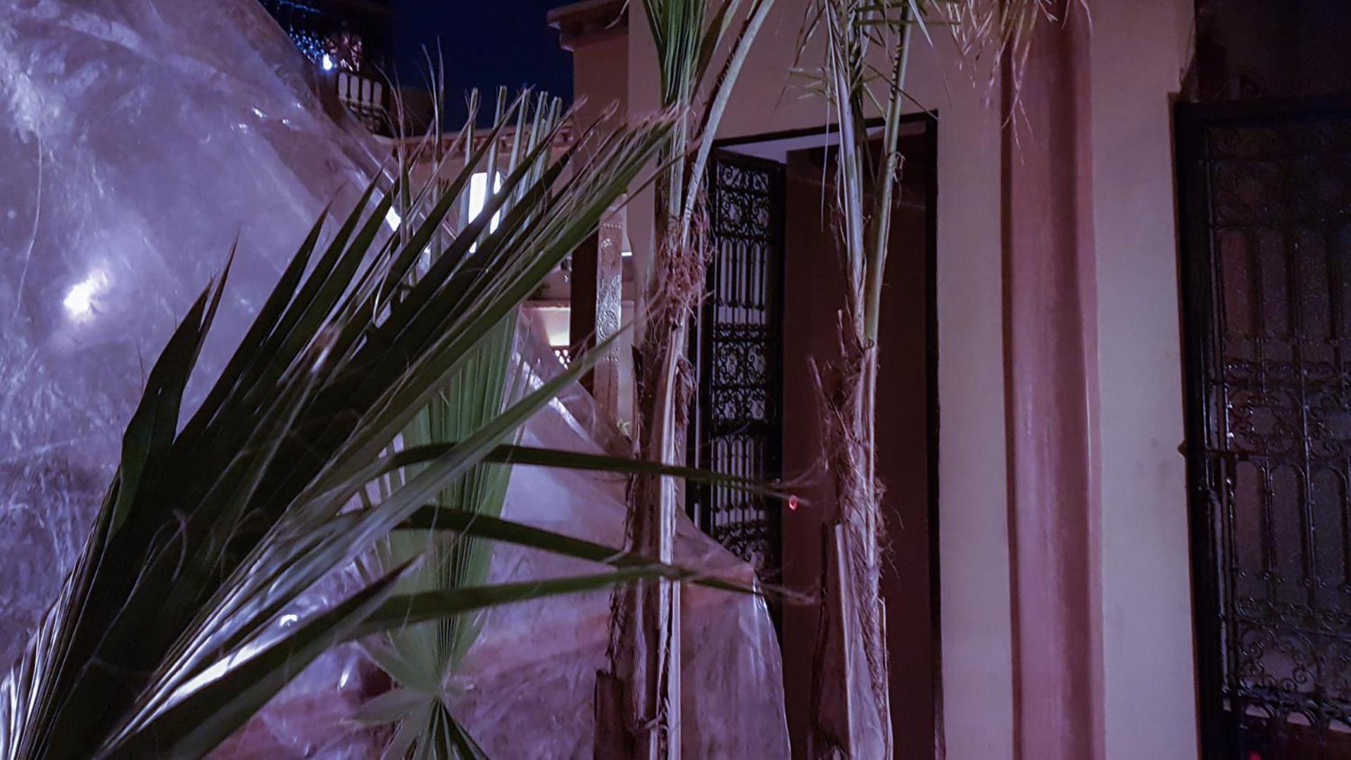 Gallery 49 & Marrakesh