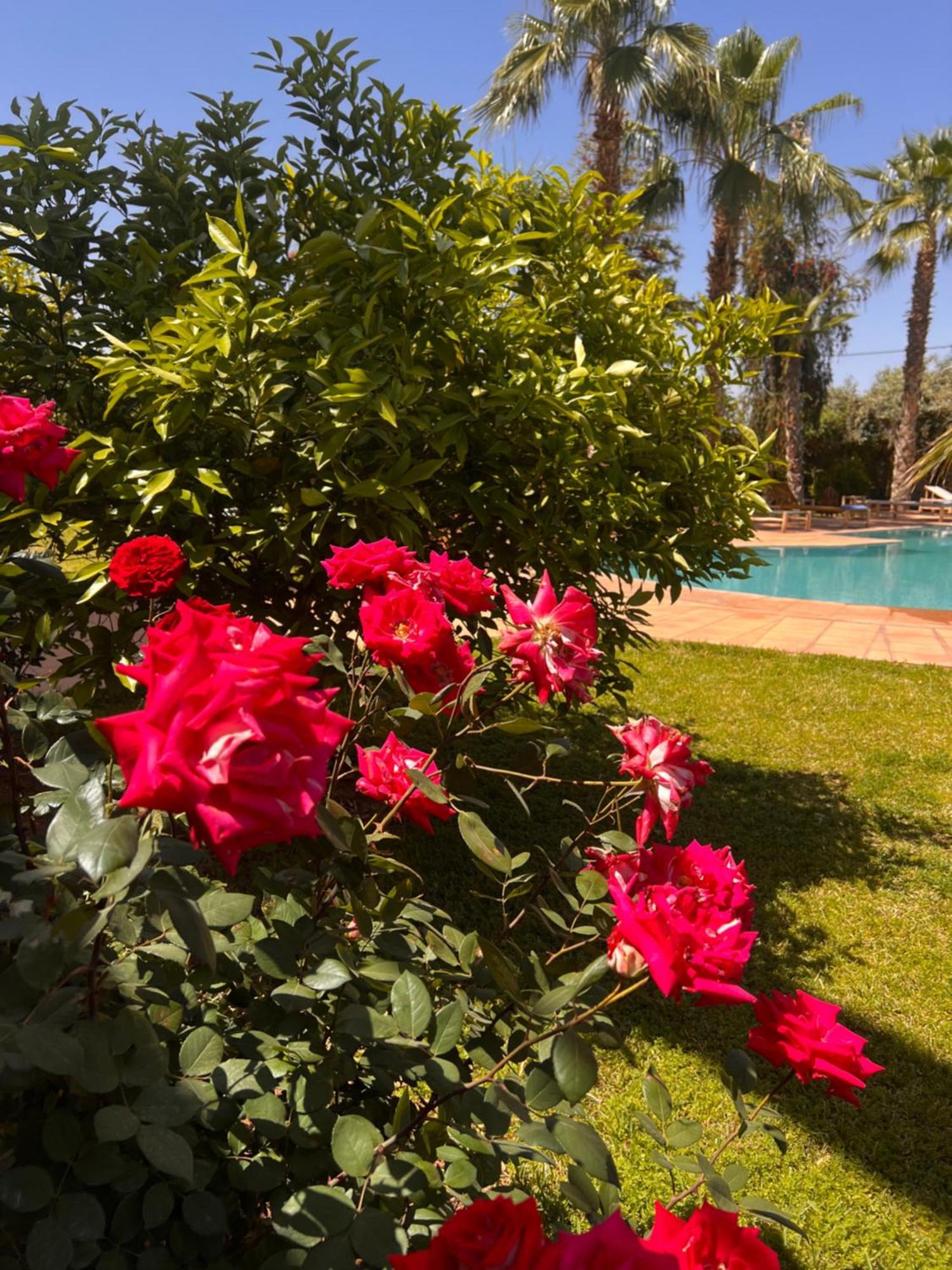 Casa de hóspedes Dar Hadjar *