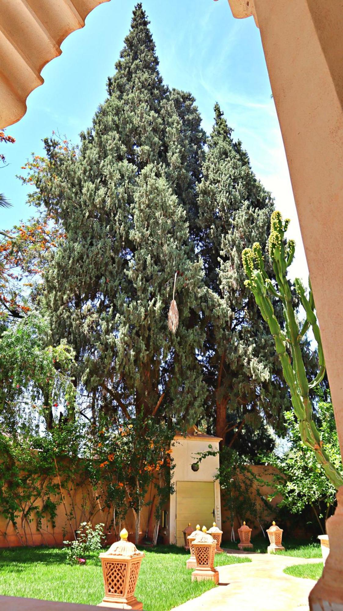 Barthelemy Marrakesh