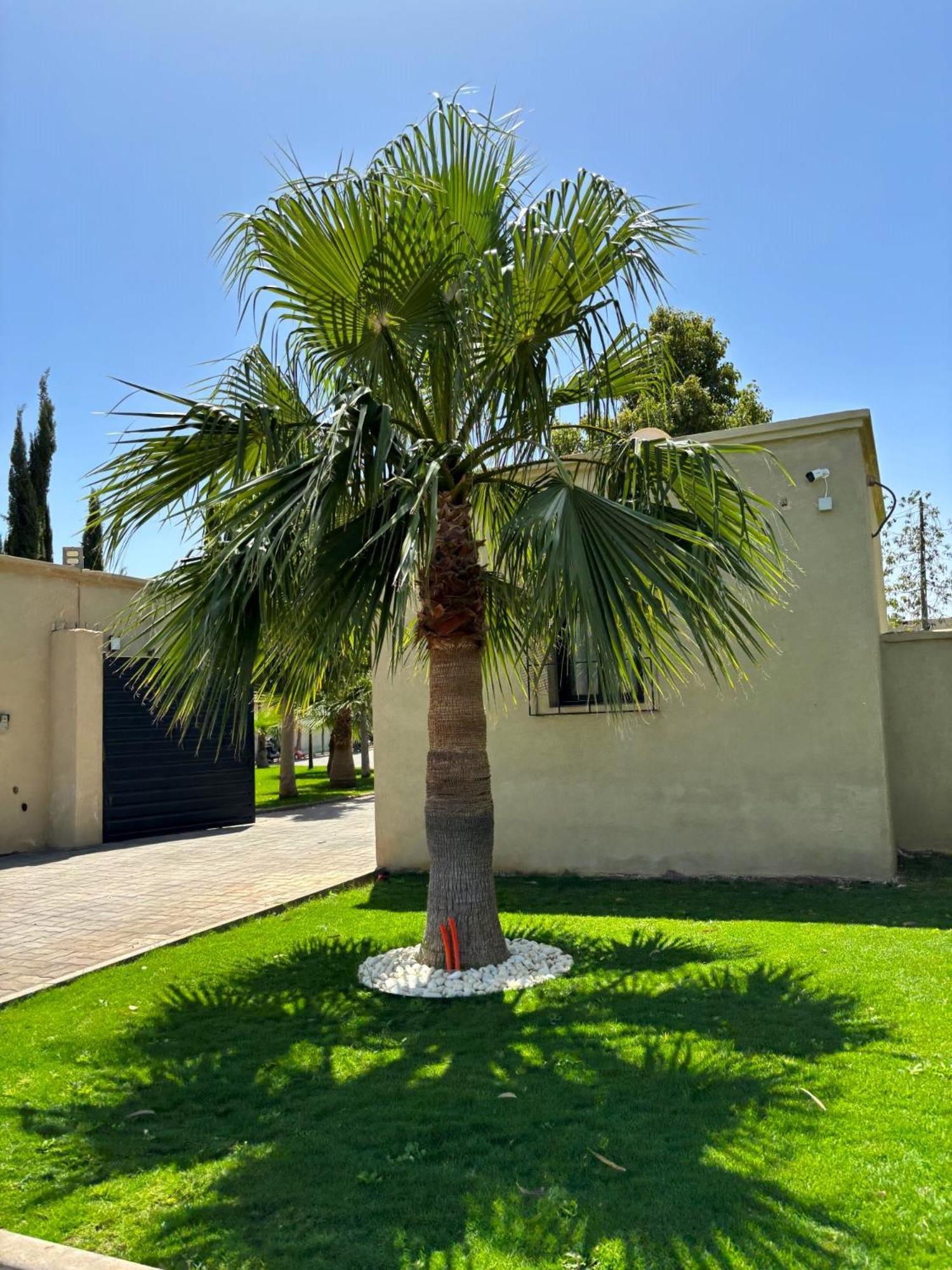Villa Palais Lyah *