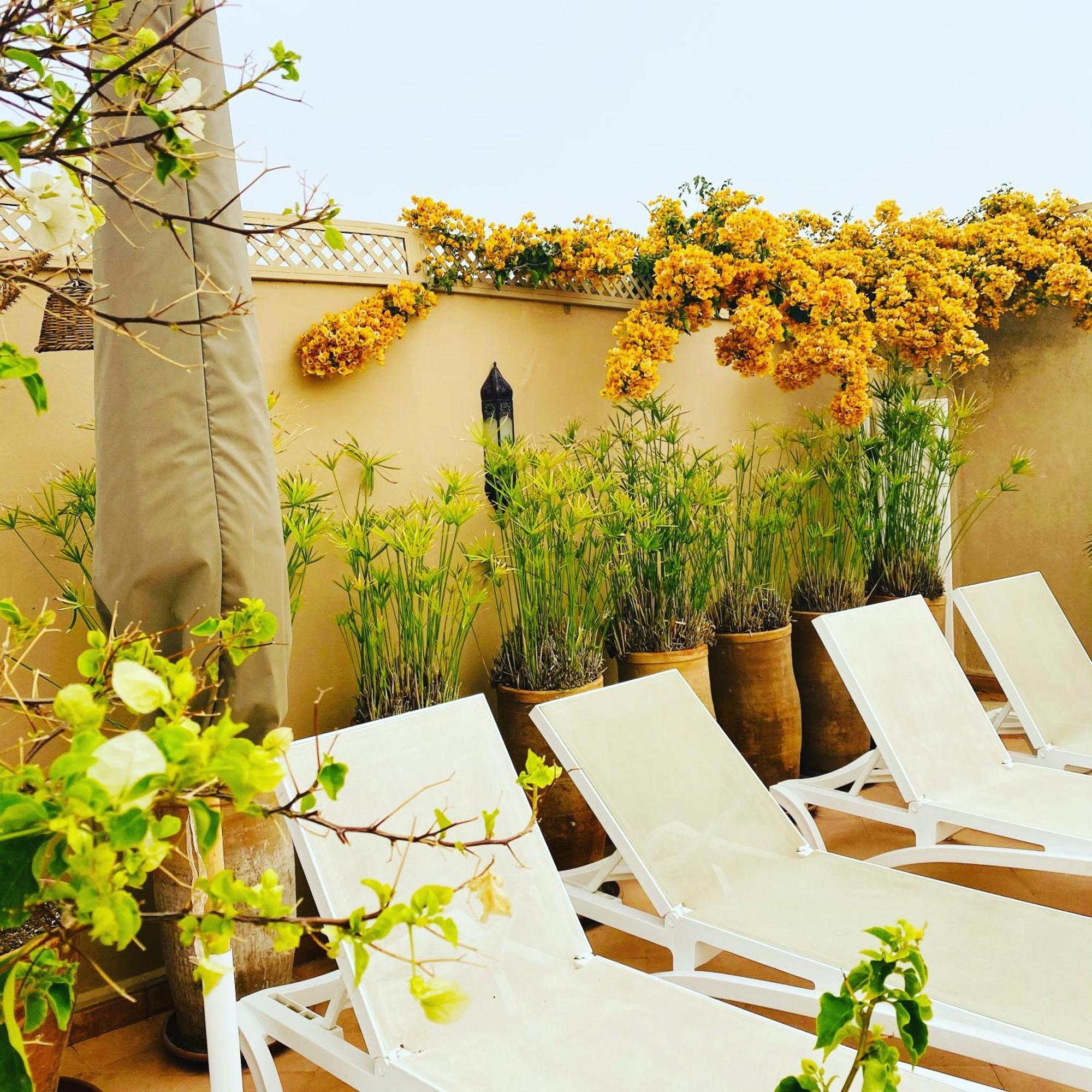 Les Orangers D'alilia Riad 3*