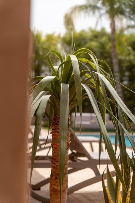 Villa Maylis Marrakech Marrakesh