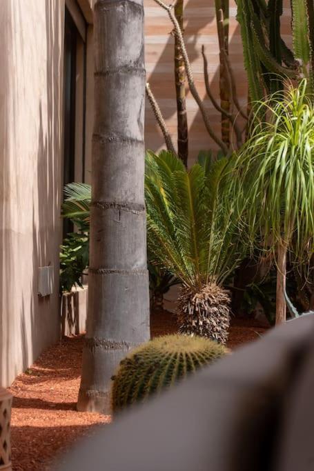 Maylis Marrakech Marrakesh