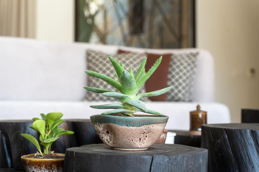 Villa Maylis Marrakech Marrakesh