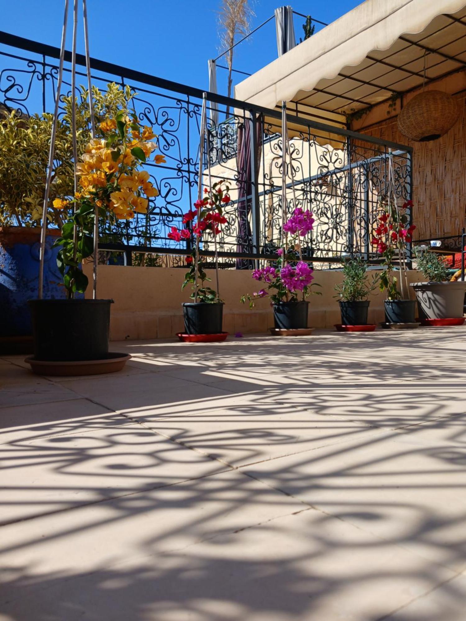 Dantella Riad 3*