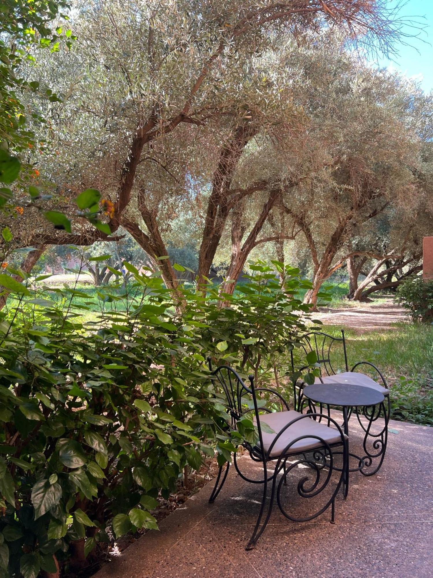 Hotel L'oliveraie Jnane Zitoune