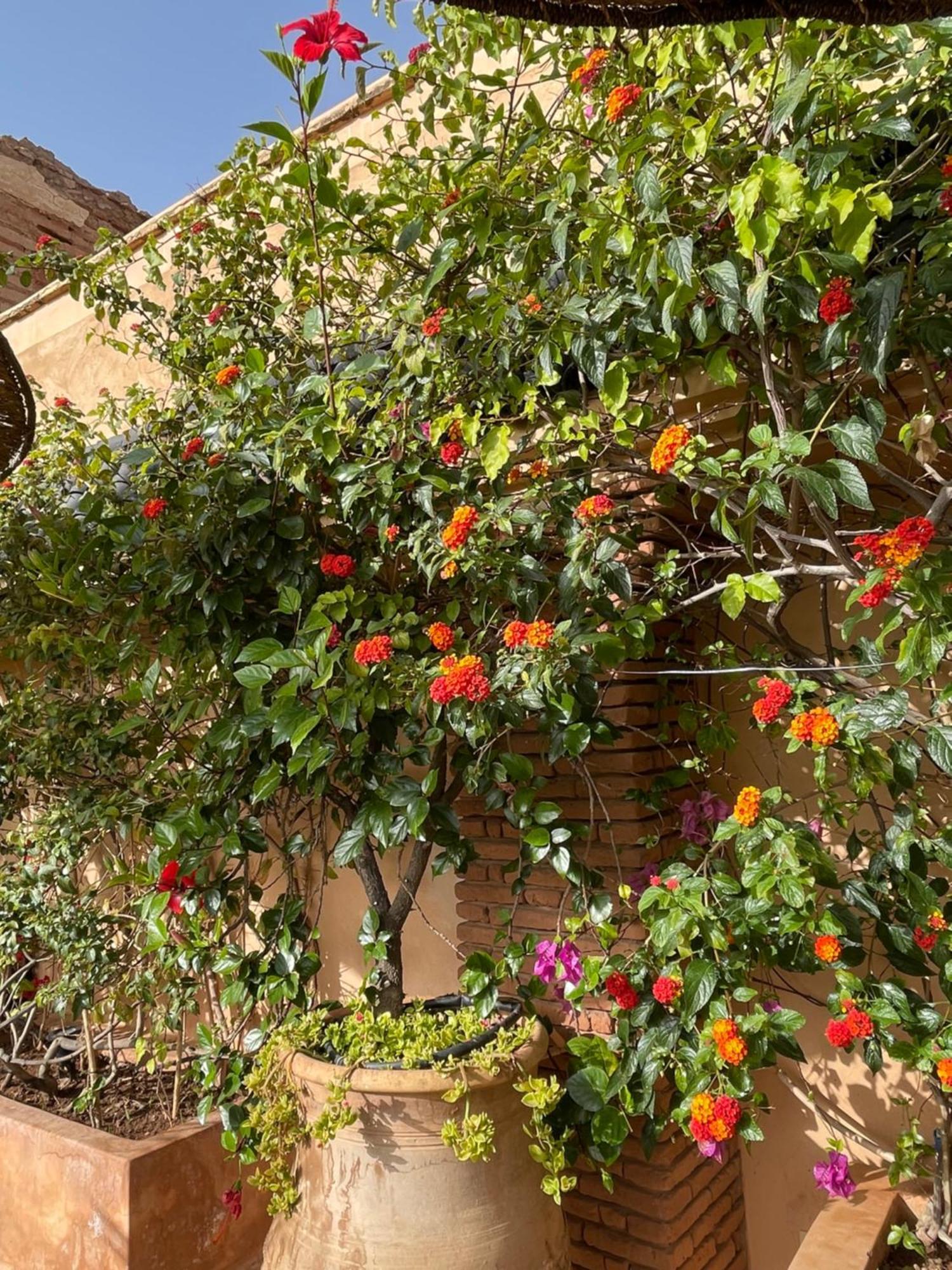 Zouhour Casa de hóspedes