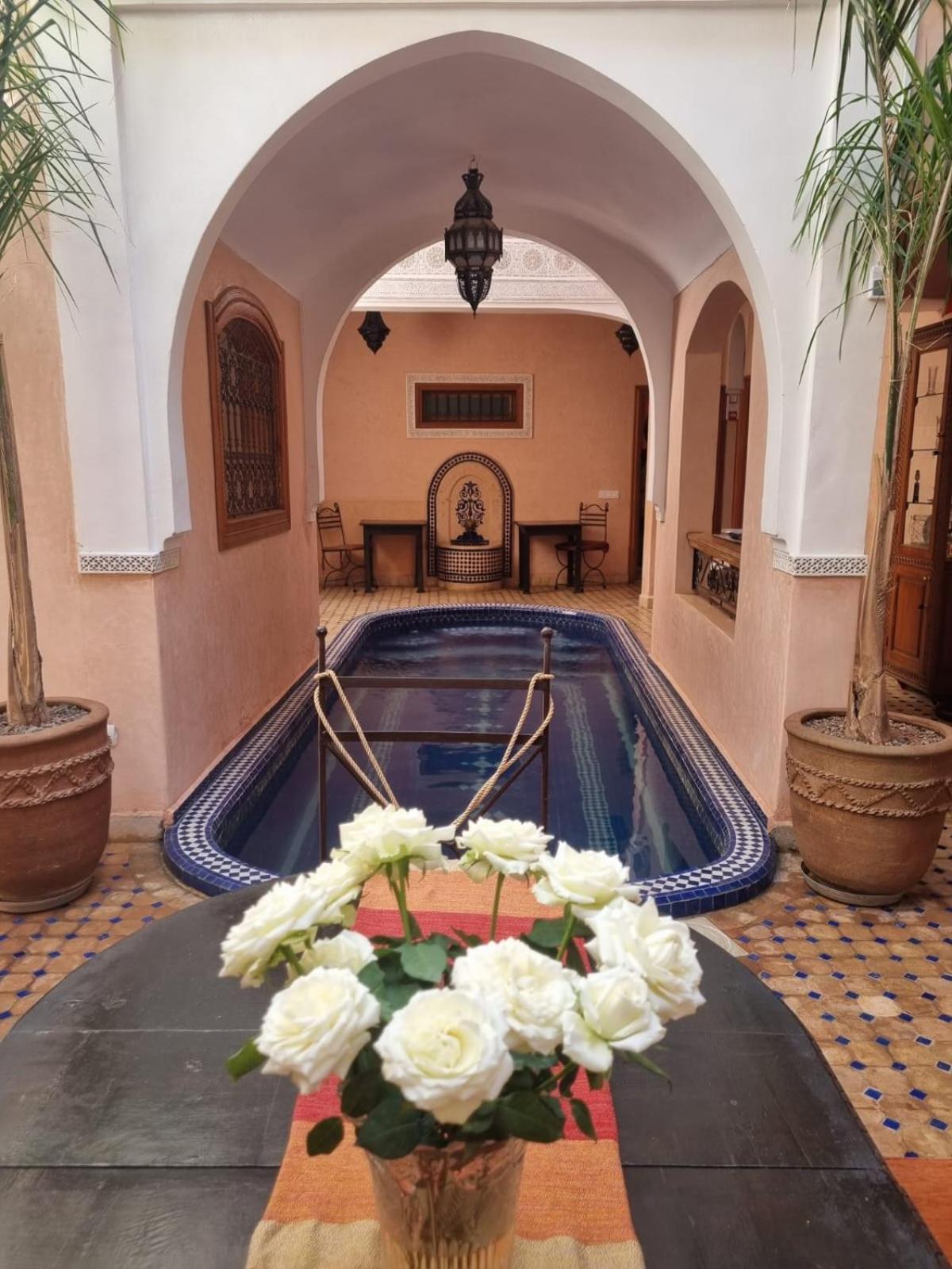 Arbre Bleu Marrakesh