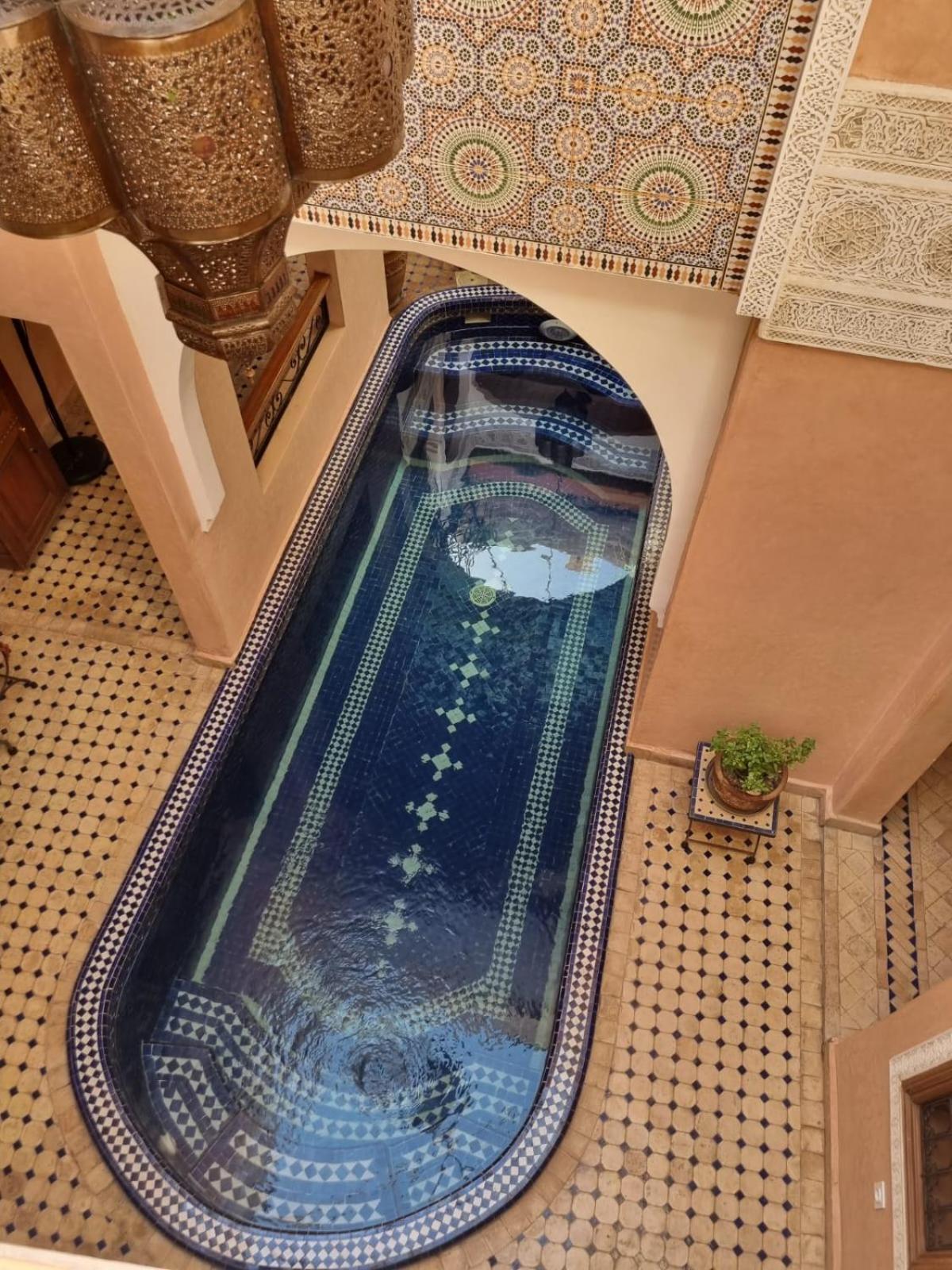 Arbre Bleu Riad 3*