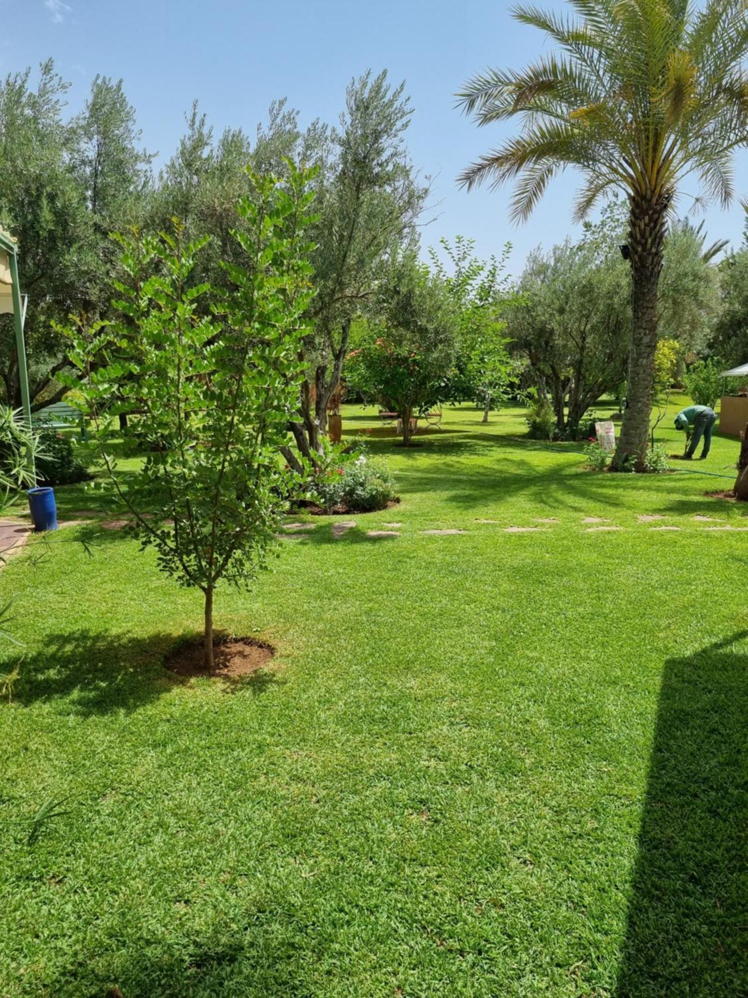 Les Deux Citronniers Guest house Marrakesh