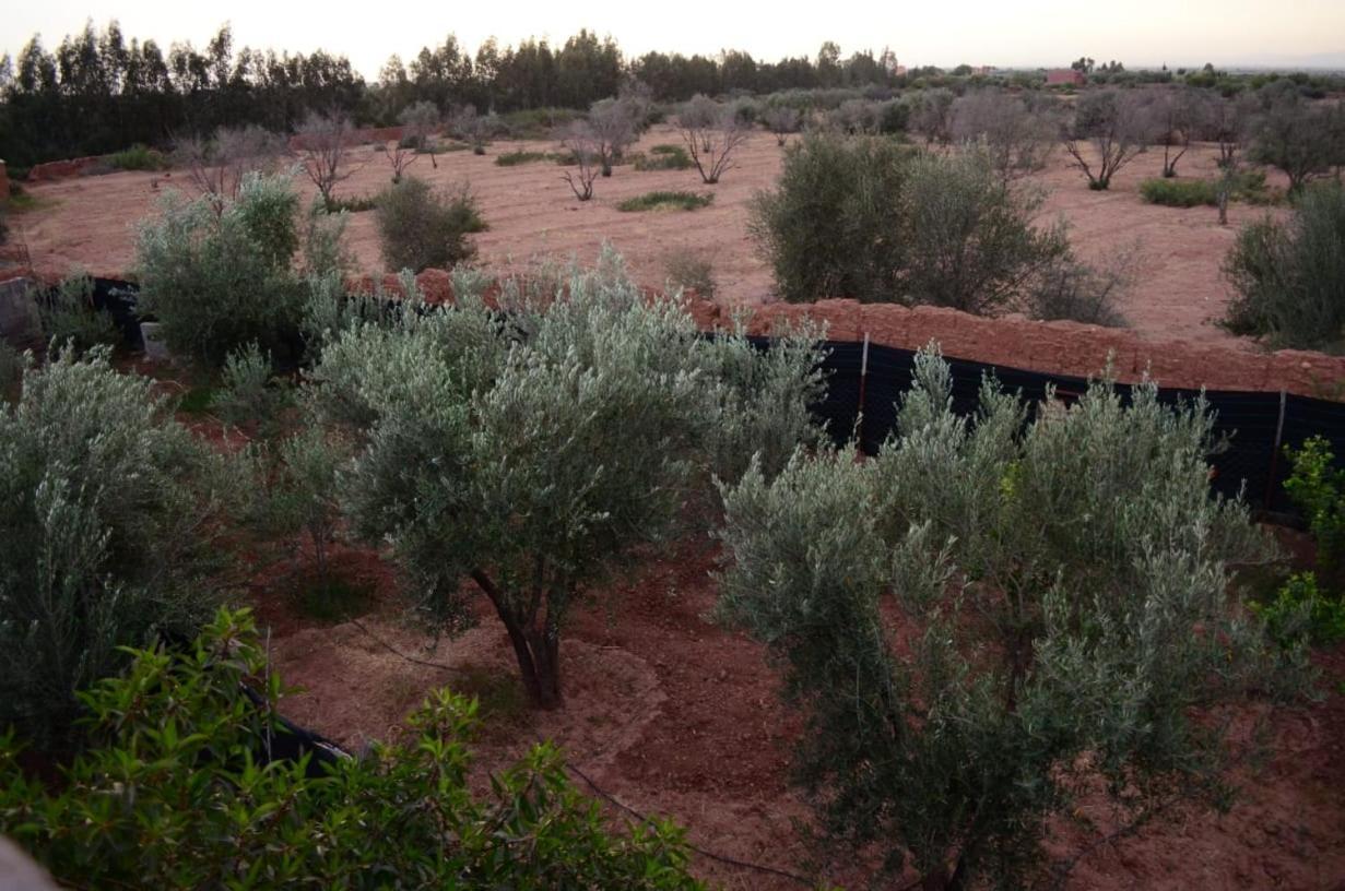 Holiday home Dar Nzaha *