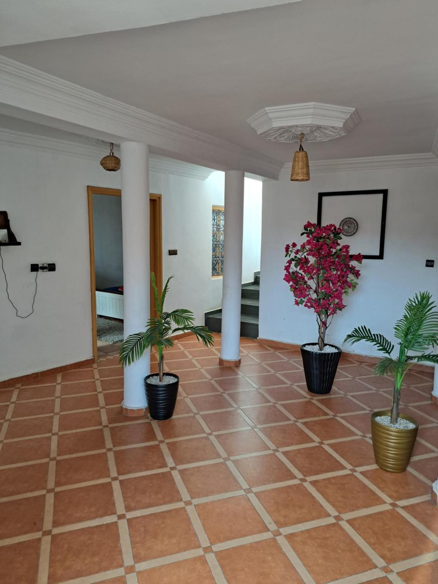 Riad Rooftop Terrace Green House