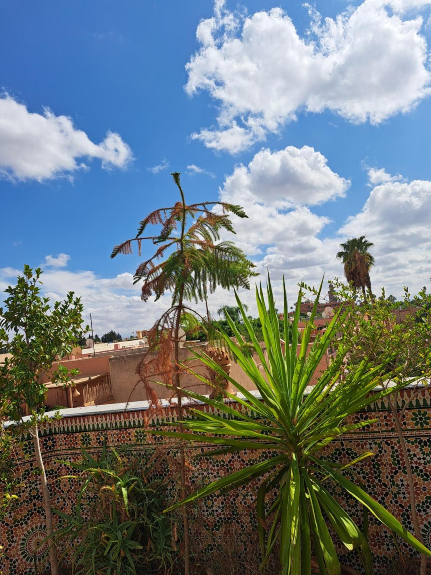 Riad Riad Rooftop Terrace Green House