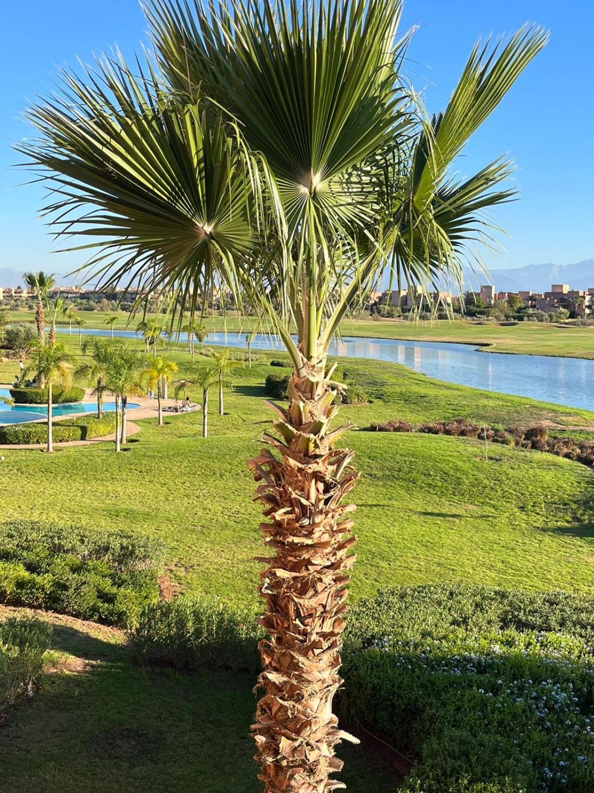Amazing 3 With Panoramic Views Apartment Marrakesh