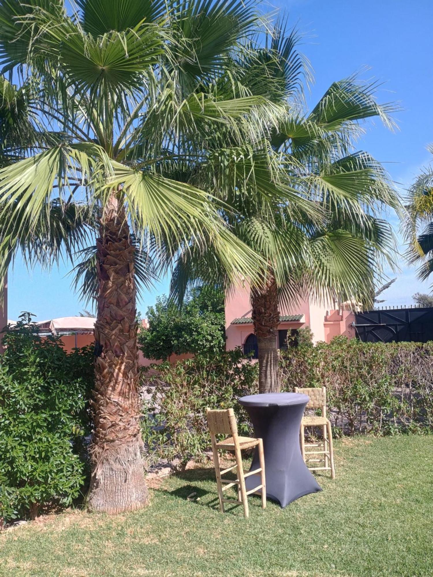 Oasi, Marrakech