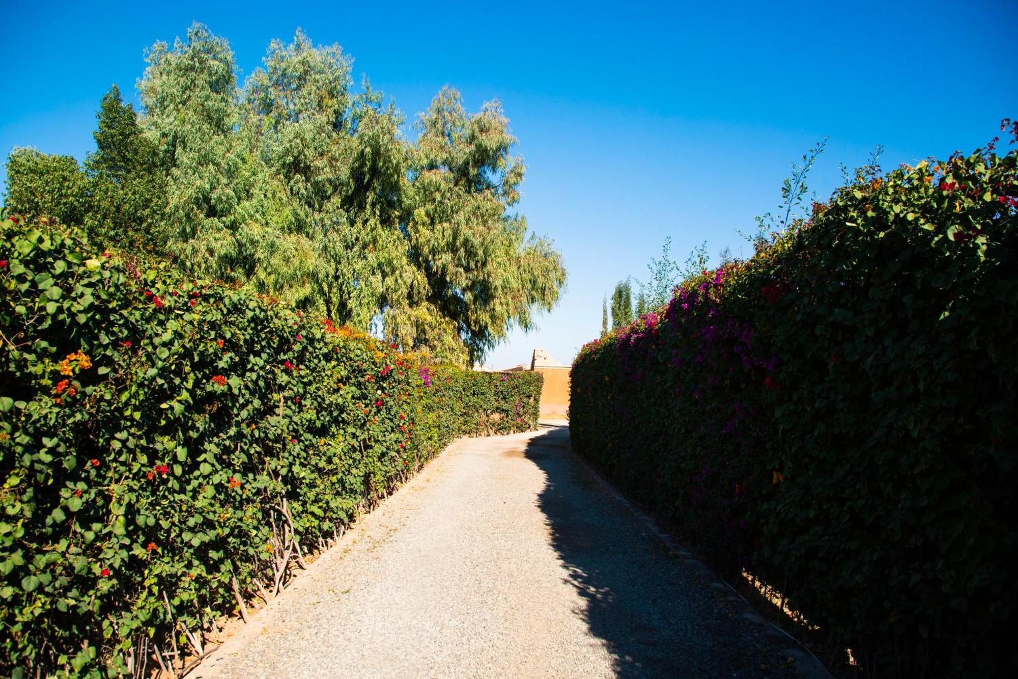 Ferme D'hote Zomorroda Farm stay Marrakesh