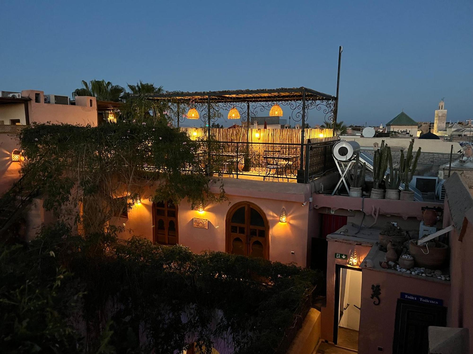Chameleon Riad