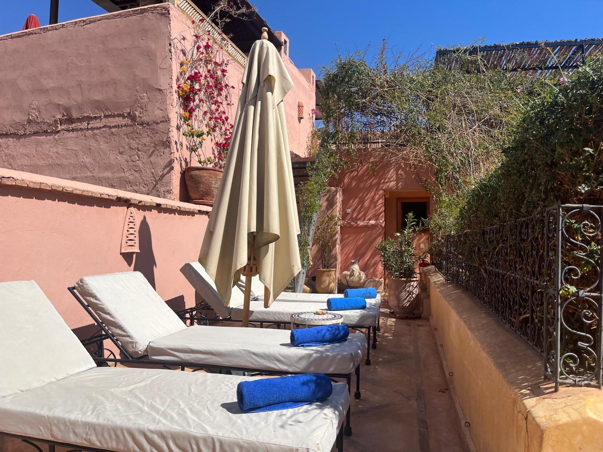 Chameleon * Marrakesh