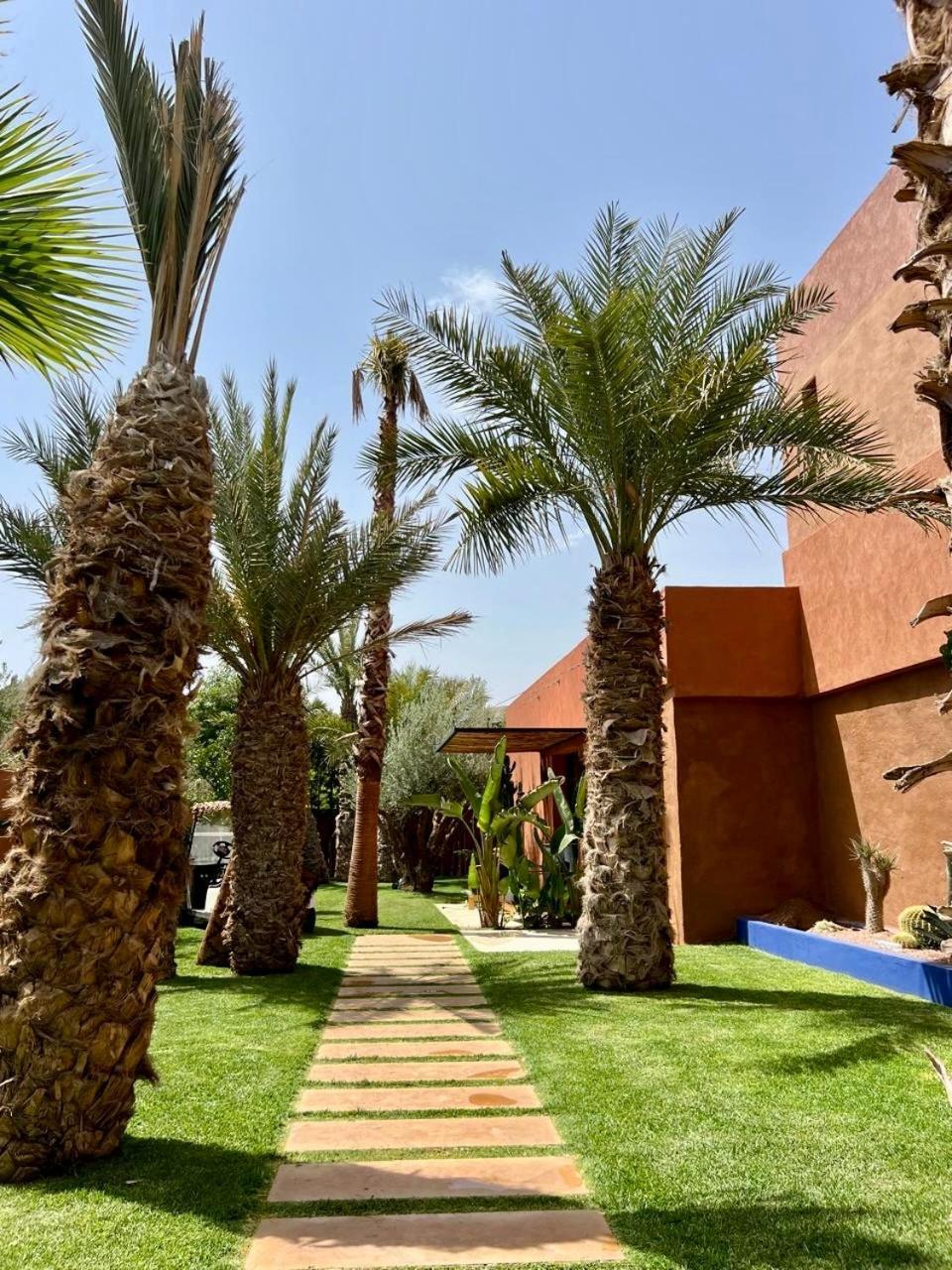 Madjha Marrakech