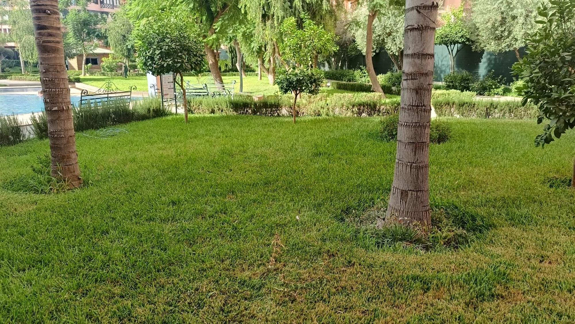 Premium Village M355 Apartamento