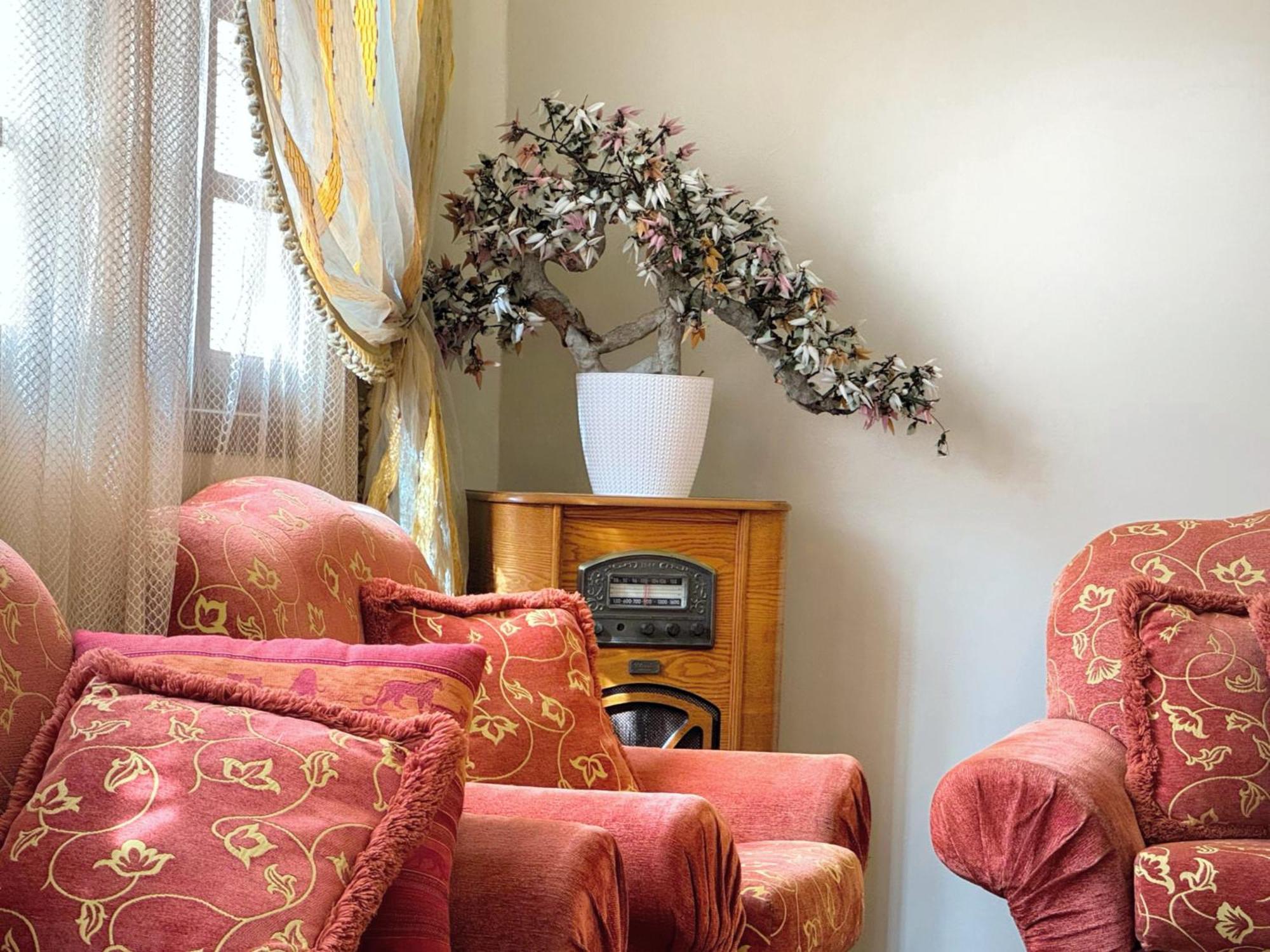 Oranger Family House Center, Private Large House, Terasse Garden View, Free Parking Apartment *