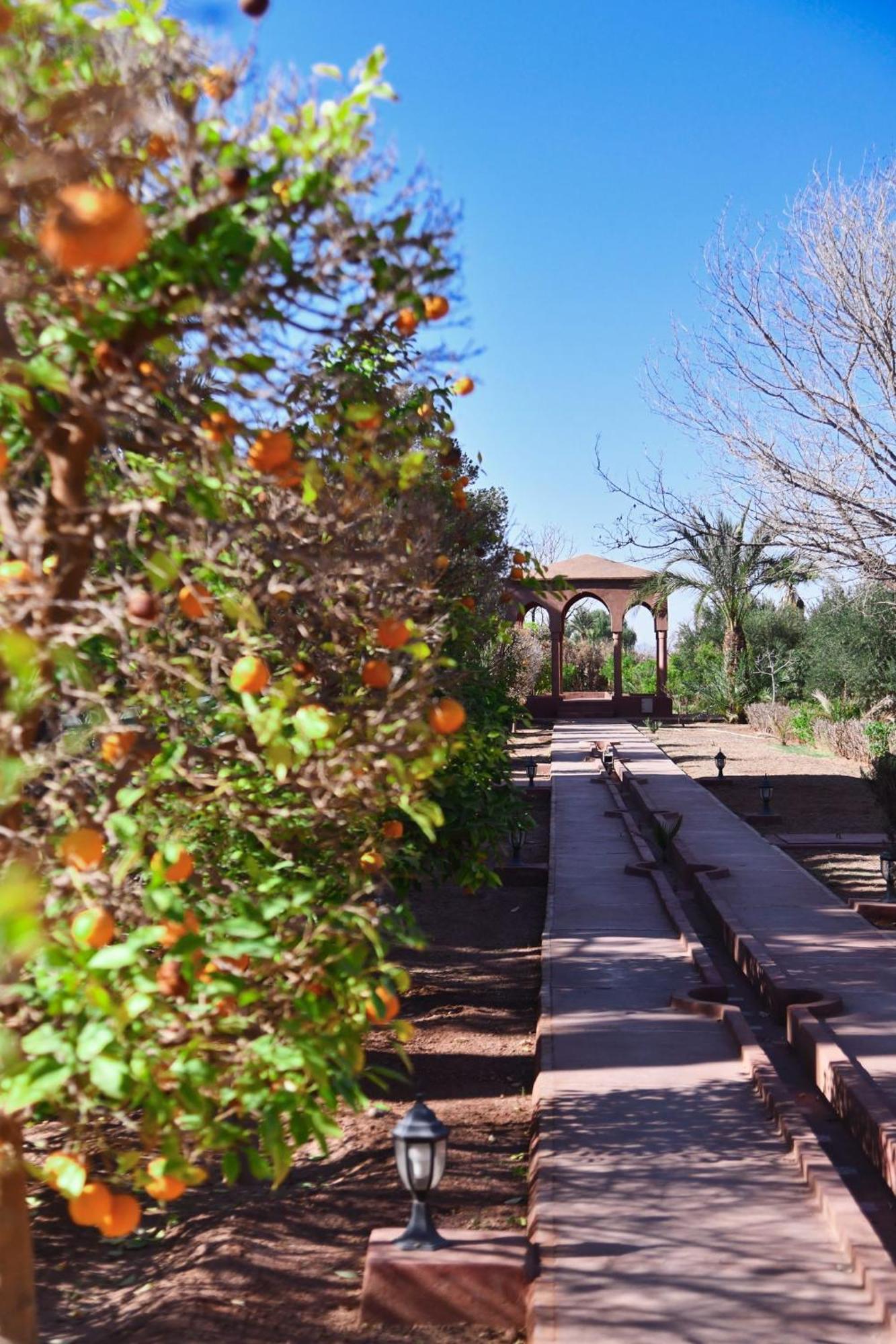 Villa Arraha Retreat Elegance Tranquility And Pools Marrakesh